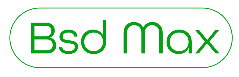 BsdMax Logo